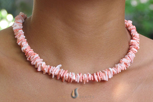 Seashell Jewelry For Women